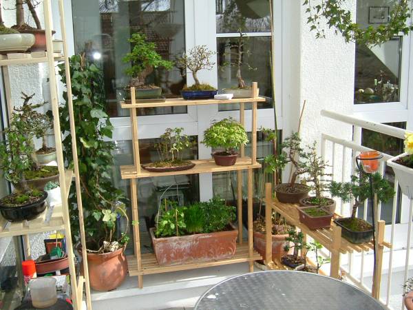 Balkon-8.jpg