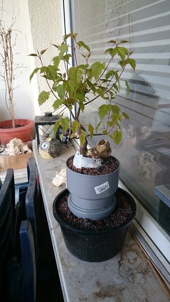 DSC_1078.jpg