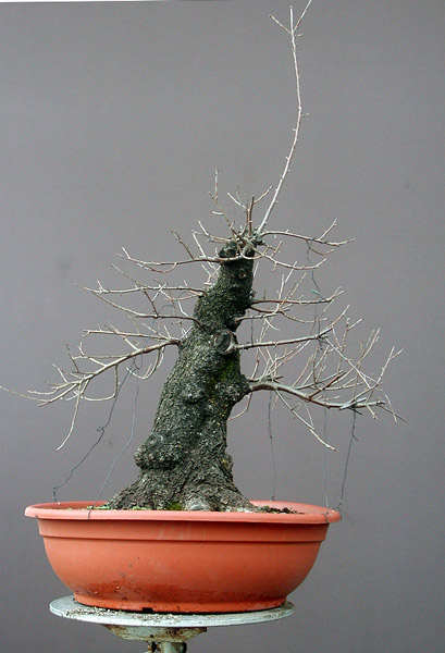 Dscn01251v.jpg