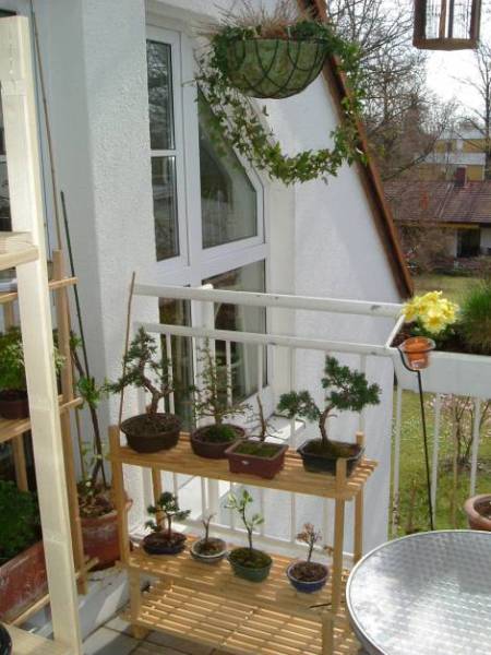 Balkon-4.jpg