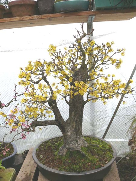 P1150450k.jpg