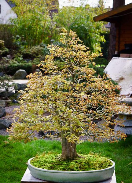 20160403-DSC00790.jpg