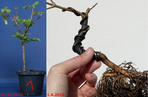 2015/10 und 2016/04