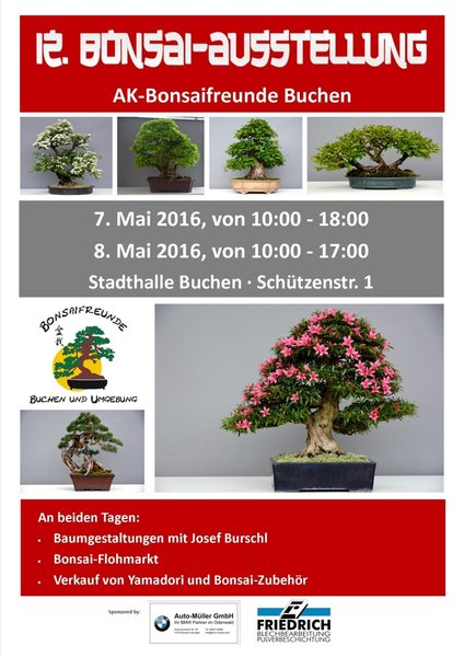 12. Bonsai_Ausstellung klein.jpg