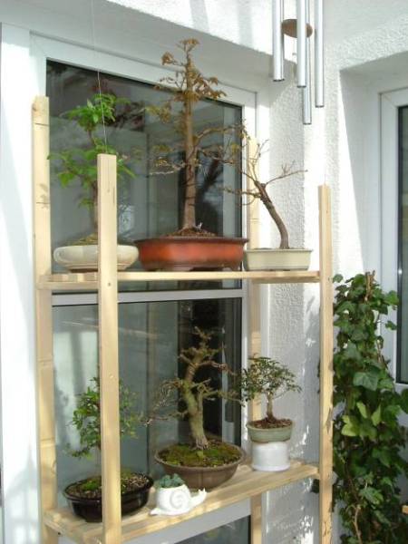 Balkon-7.jpg