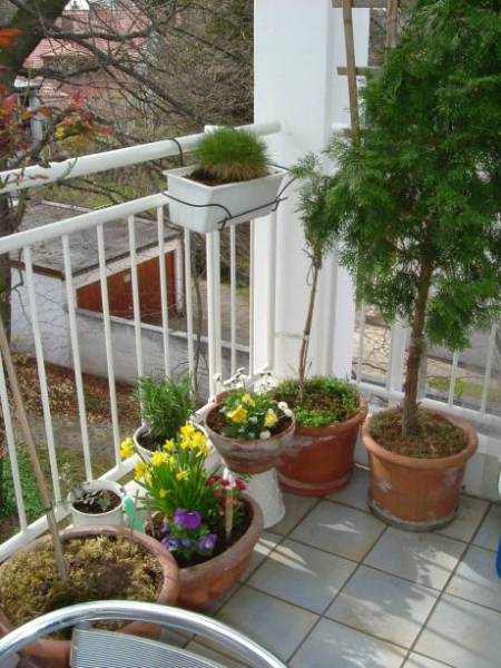 Balkon-5.jpg
