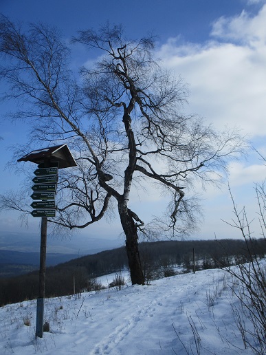 Suhl 10.03.2016 016a.jpg