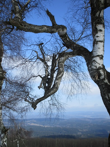 Suhl 10.03.2016 018a.jpg