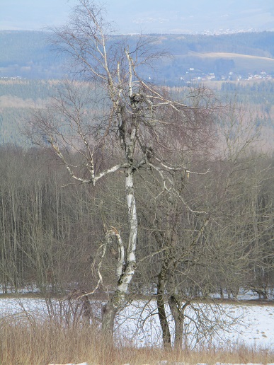Suhl 10.03.2016 019a.jpg