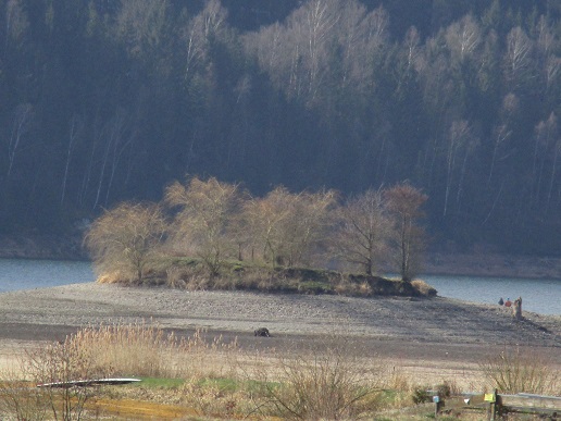 Suhl 10.03.2016 027a.jpg