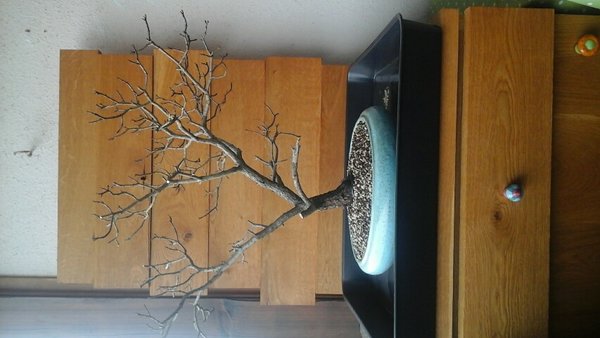 2016041010202200.jpg