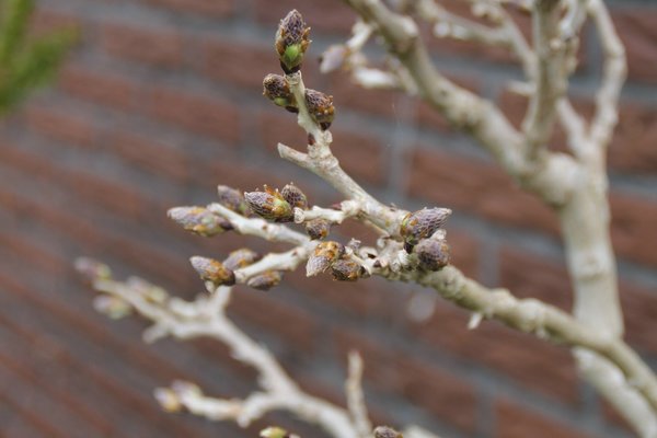 IMG_7180.JPG