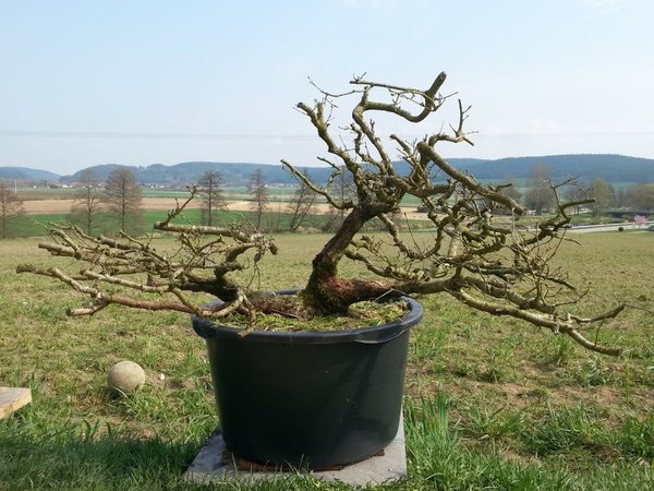 20160410_104400.jpg