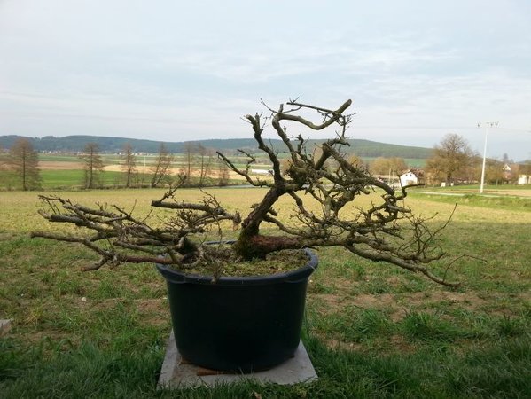 20160409_181248.jpg
