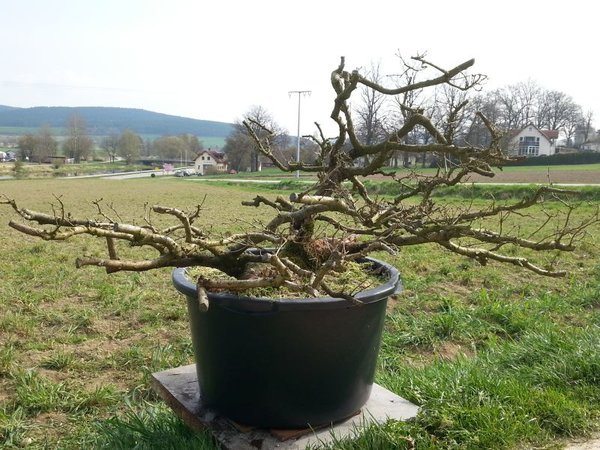 20160410_104429.jpg