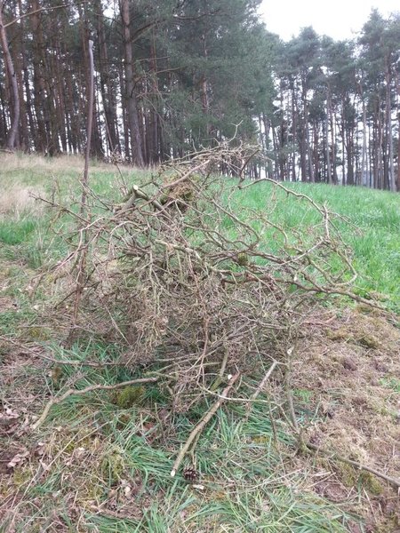 20160409_100857.jpg