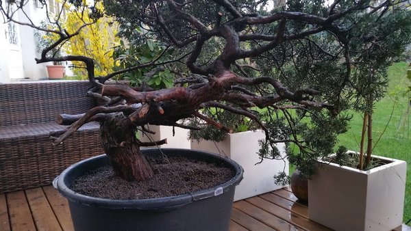 20160411_191504 copy.jpg