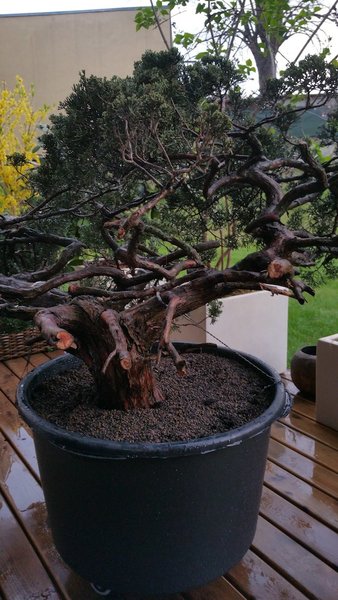 20160411_191539 copy.jpg