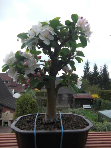CIMG0727.JPG