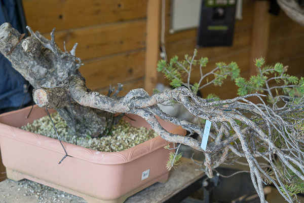 20160416-DSC00828.jpg