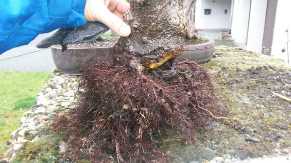 20160417_112538.jpg