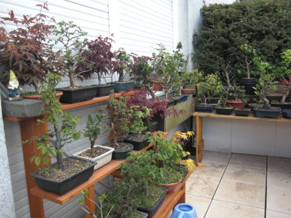 CIMG0744.JPG