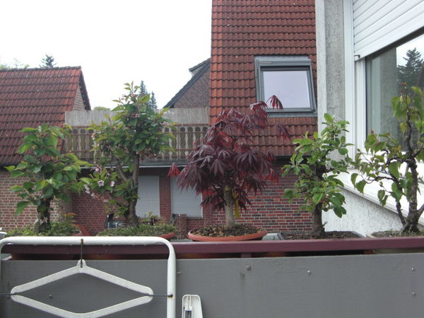 CIMG0745.JPG