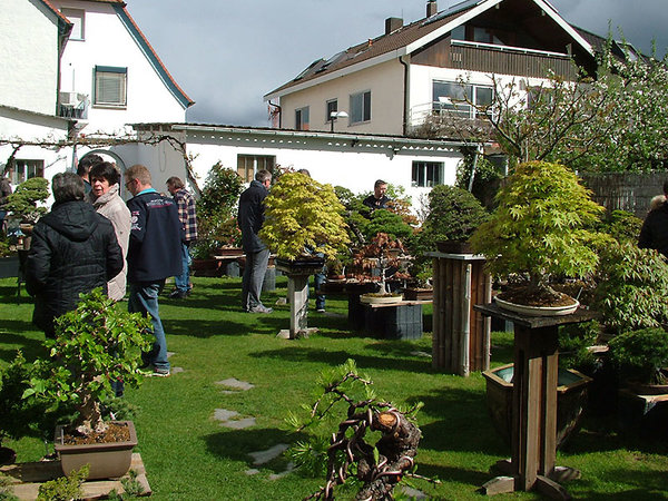 DSCF3850.jpg