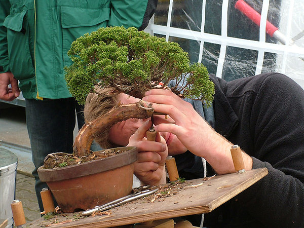 Bjorn_002.jpg