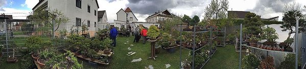 Bild 1.JPG
