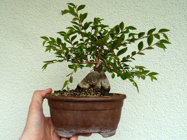 P1300941.jpg