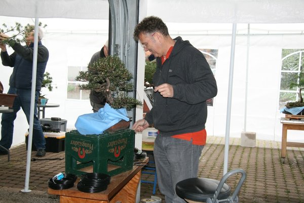 comp_IMG_0407.jpg