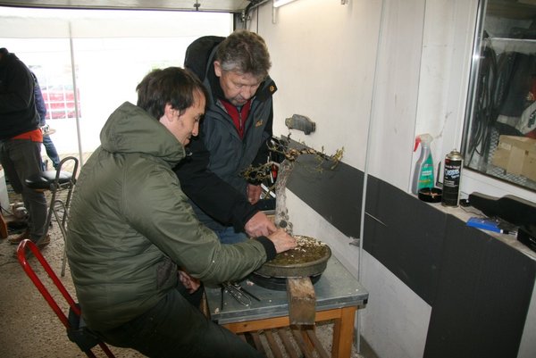 comp_IMG_0406.jpg