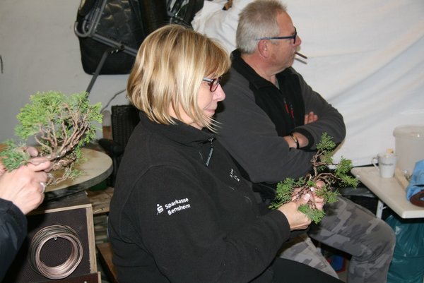 comp_IMG_0457.jpg