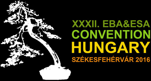 bonsai_logo_landscape_feher_szines.jpg