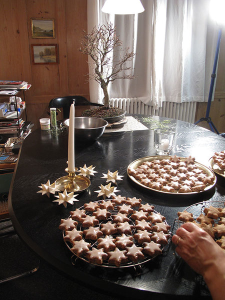 Im Dezember, wenn die Zimtsterne entstehen, ist für mich die beste Zeit für Wurzelarbeit an Rotbuchen.