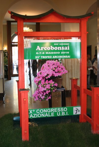 Arcobonsai 2016