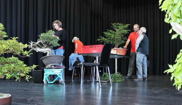 comp_IMG_2370 - Kopie.jpg