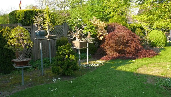 P1040316-1.jpg