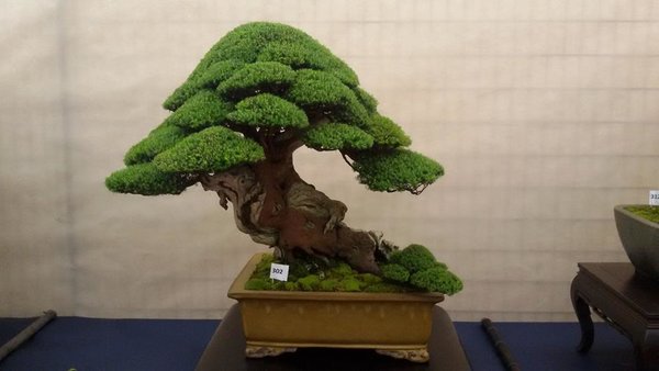 20160507_103445 (Copy).jpg