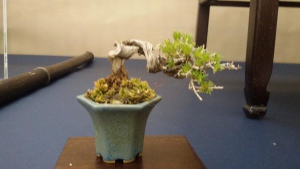 20160507_103708 (Copy).jpg