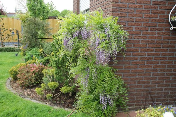 IMG_7374.JPG