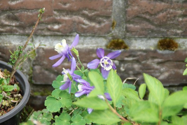 IMG_7380.JPG