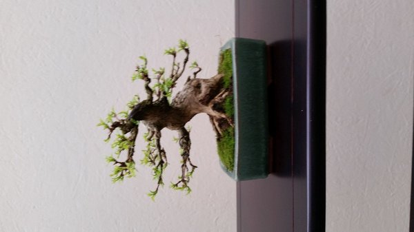 Premna Düsseldorf April 2016