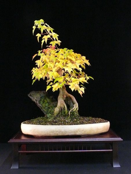 P1070150k.JPG