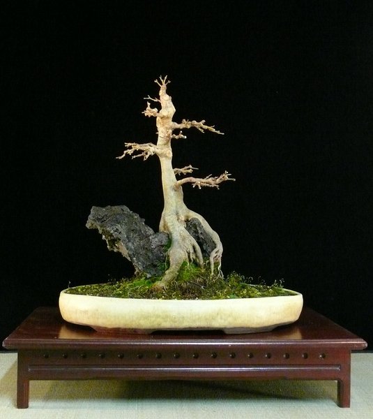 P1110740k.JPG