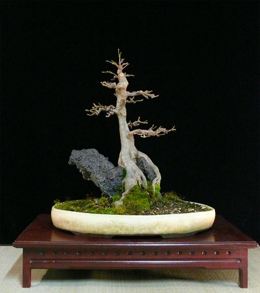 P1140664k.jpg