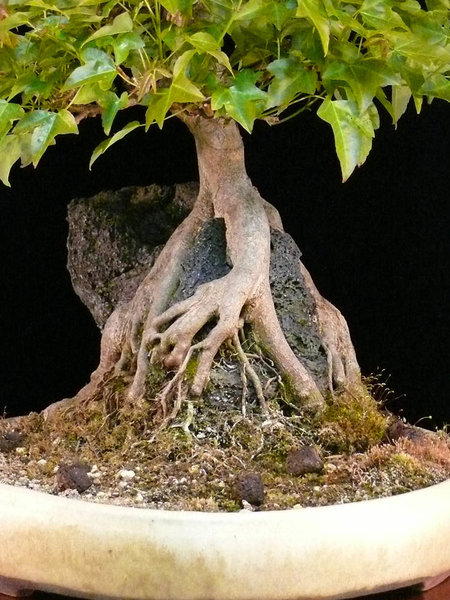 P1150811k.jpg