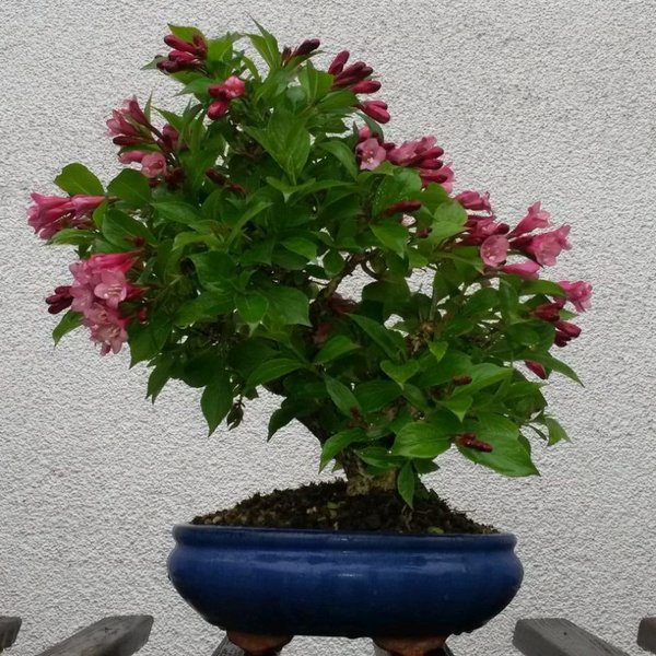 20160513_084139.jpg