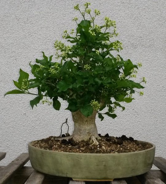 20160512_072013.jpg